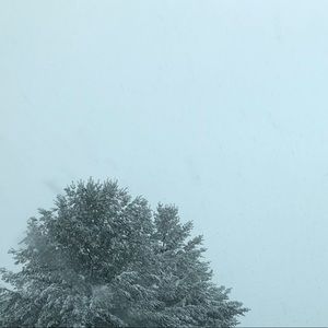 Meet your Posher, Weston